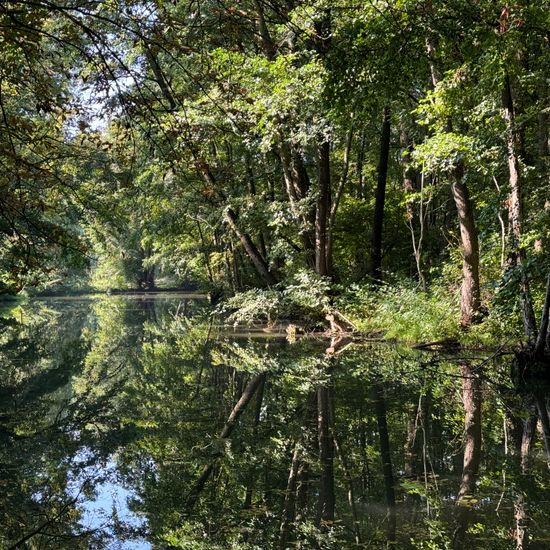 Landschaft: Süßwasser im Habitat Künstliches Süßwasser in der NatureSpots App