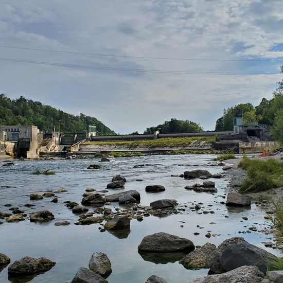 Landschaft: Süßwasser im Habitat Fluss in der NatureSpots App