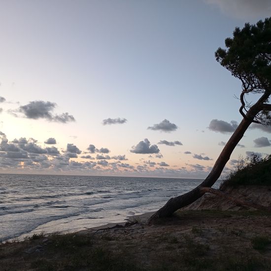 Landschaft: Meer und Küste im Habitat Sandküste in der NatureSpots App