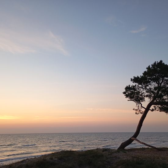 Landschaft: Meer und Küste im Habitat Sandküste in der NatureSpots App