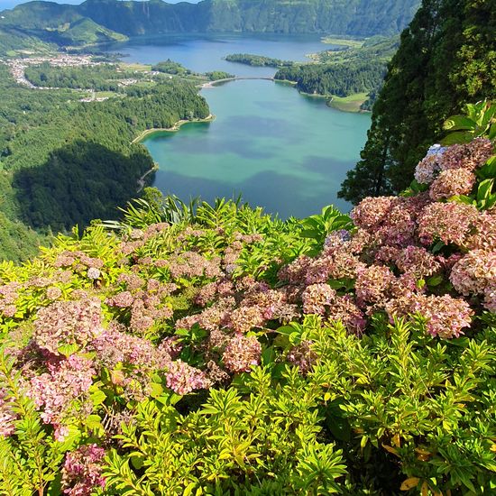 Landscape: Freshwater in habitat Lake in the NatureSpots App