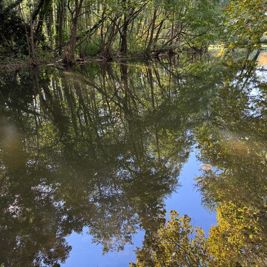 Landschaft: Süßwasser im Habitat Künstliches Süßwasser in der NatureSpots App