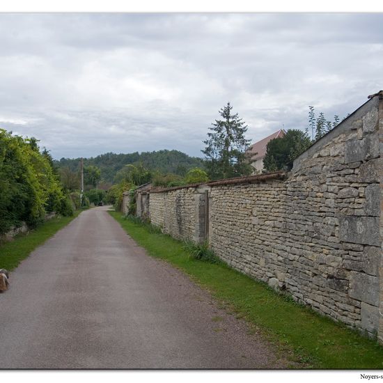 Landscape: Urban and Garden in habitat City and Urban in the NatureSpots App