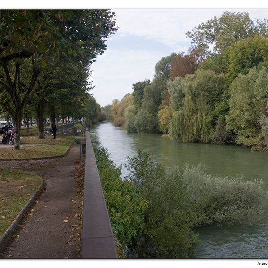 Landscape: Freshwater in habitat River in the NatureSpots App