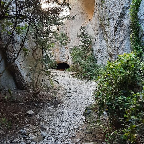 Landscape: Mountain and Rock in habitat Rock areas in the NatureSpots App