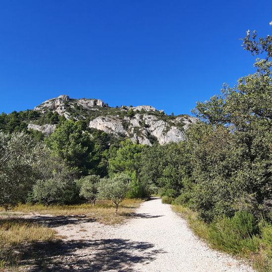 Landscape: Mountain and Rock in habitat Rock areas in the NatureSpots App