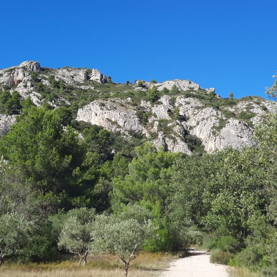 Landscape: Mountain and Rock in habitat Rock areas in the NatureSpots App