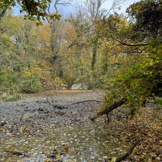 Landscape: Freshwater in habitat Pond in the NatureSpots App