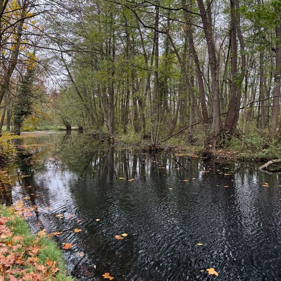 Landscape: Freshwater in habitat Artificial freshwater in the NatureSpots App