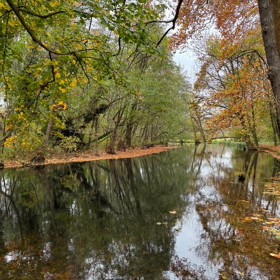 Landscape: Freshwater in habitat Artificial freshwater in the NatureSpots App