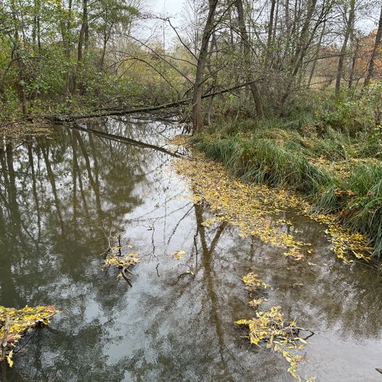 Landscape: Freshwater in habitat Artificial freshwater in the NatureSpots App