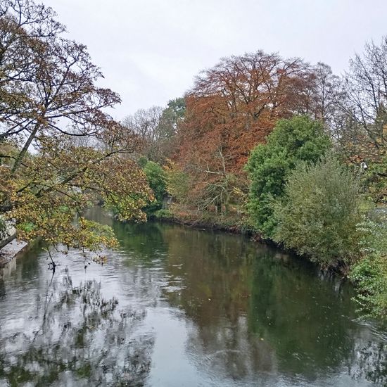 Landschaft: Süßwasser in der NatureSpots App