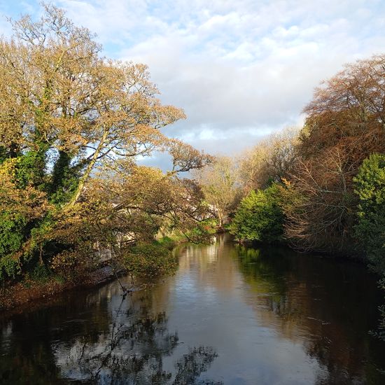 Landschaft: Süßwasser in der NatureSpots App