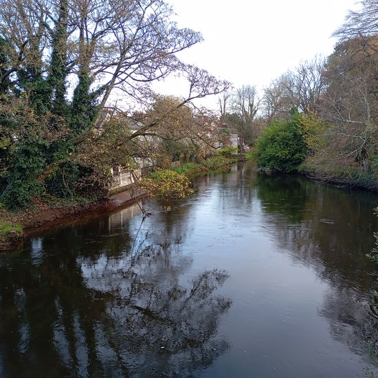 Landschaft: Süßwasser in der NatureSpots App