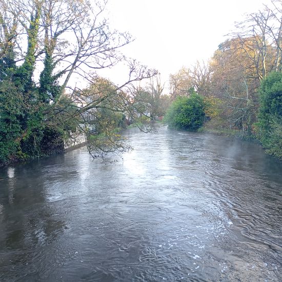 Landschaft: Süßwasser in der NatureSpots App