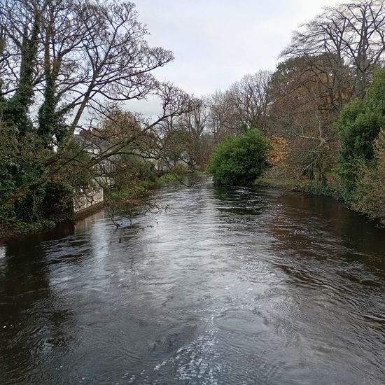 Landschaft: Süßwasser in der NatureSpots App